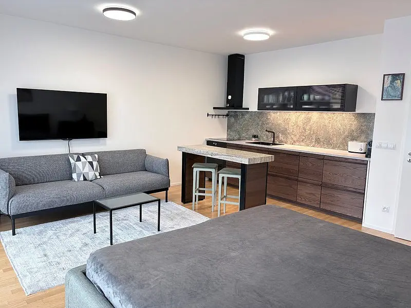 Pronájem bytu 1+kk 45 m², Krásova · Žižkov