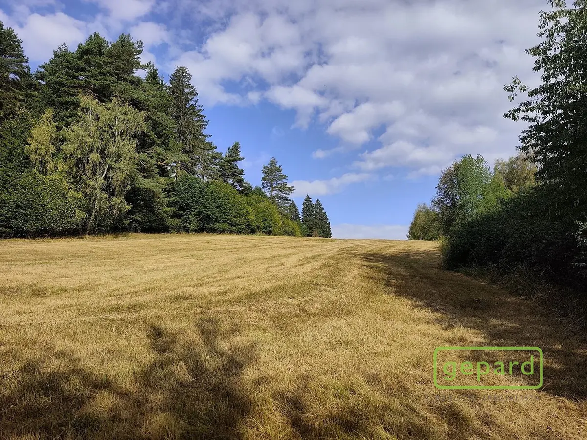 Prodej pozemku 14307 m², Světlík