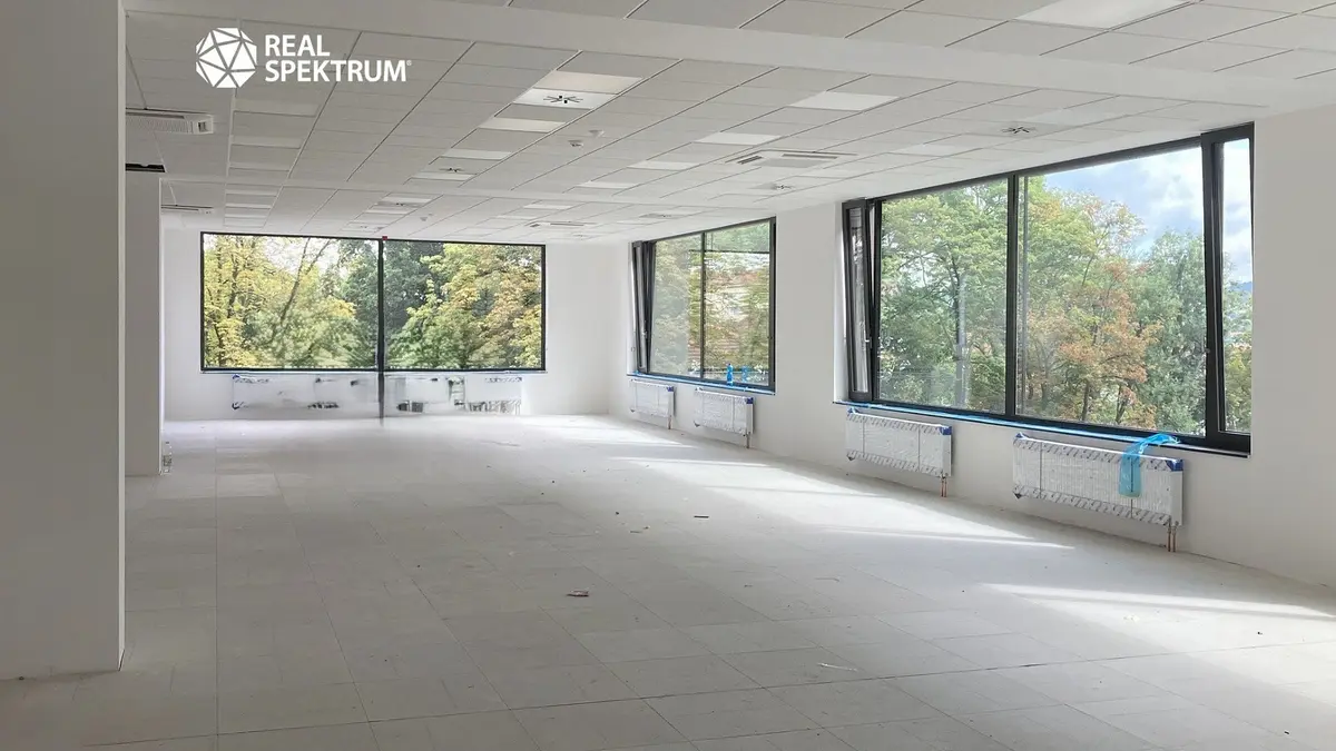 Pronájem komerčního prostoru 1266 m², Botanická · Veveří · Brno