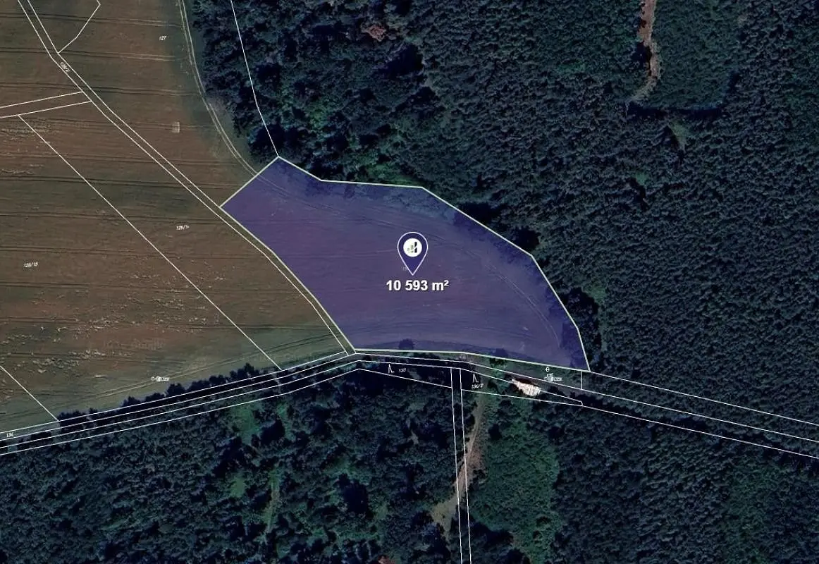 Prodej pozemku 5422 m², Kropáčova Vrutice · okres Mladá Boleslav