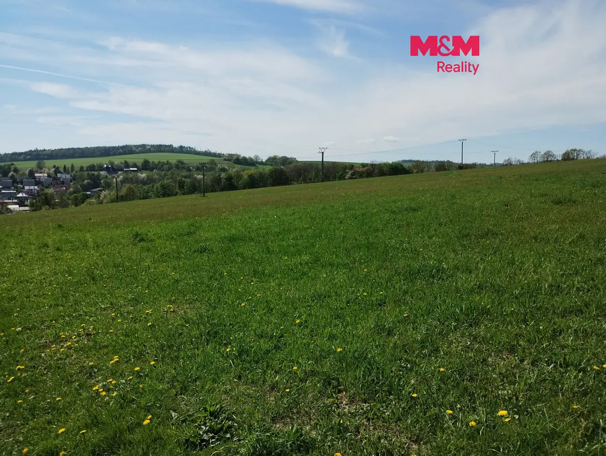 Prodej pozemku 4600 m², Bílovec-město · Bílovec