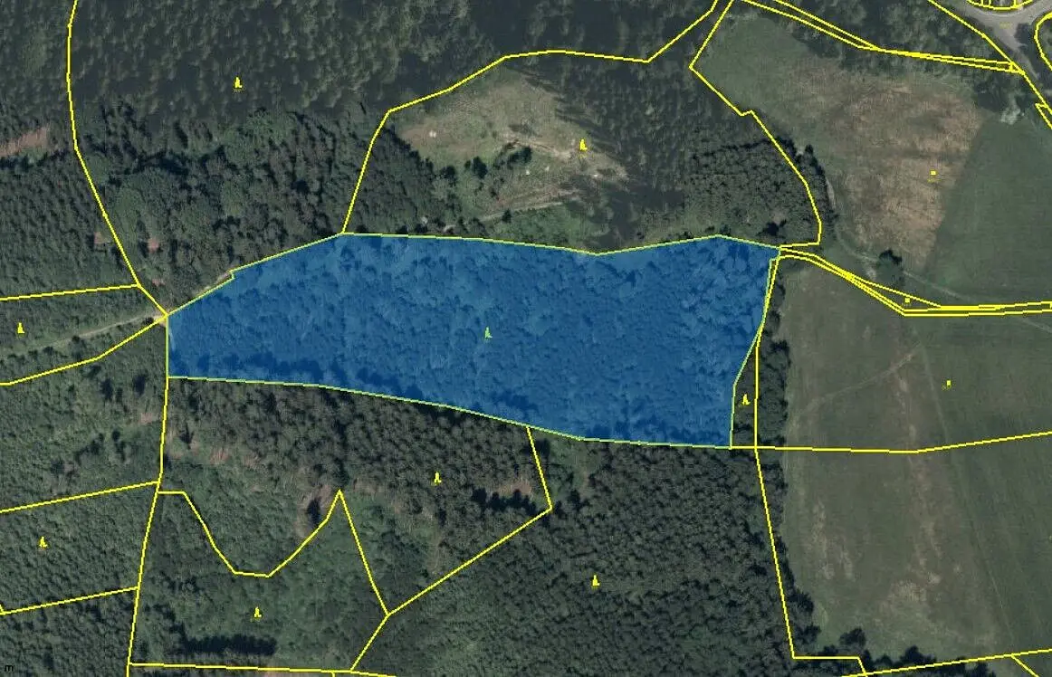 Pronájem pozemku 172 m², Dlouhá Třebová · okres Ústí nad Orlicí