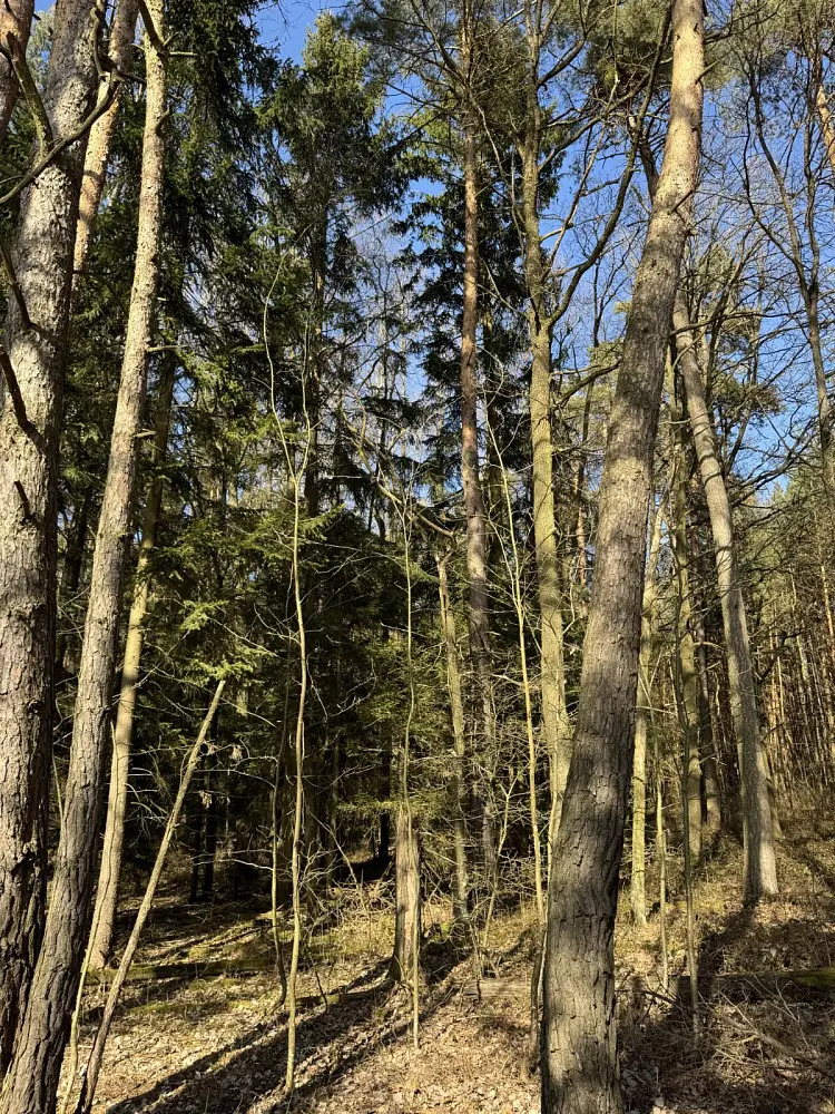 Prodej pozemku 491 m², Vlastiboř - Nýřany