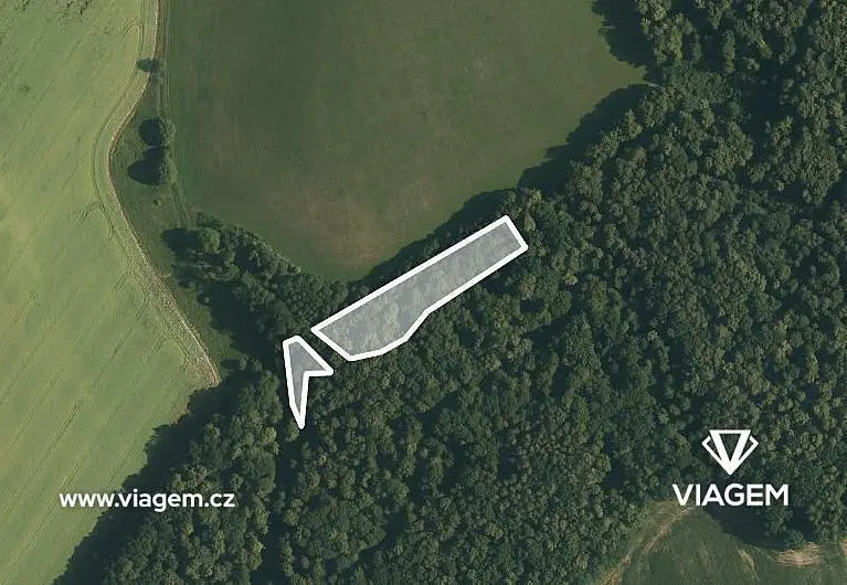 Prodej pozemku 1965 m², Malhotice · okres Přerov