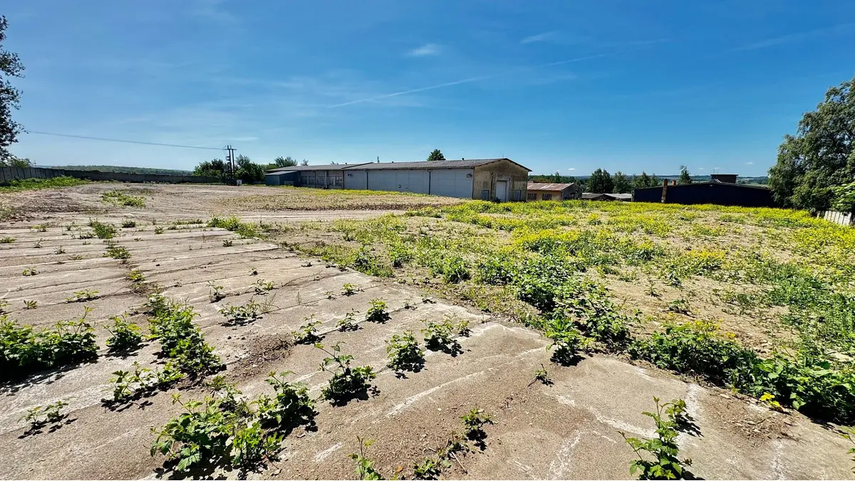 Prodej pozemku 10000 m², Řídký · okres Svitavy