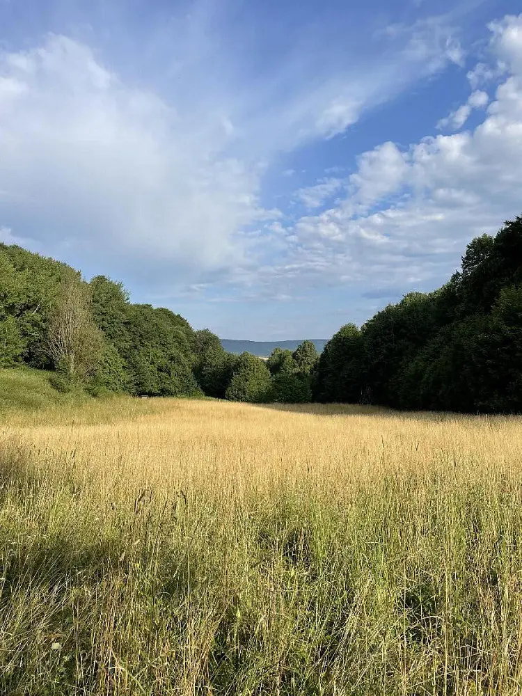 Prodej pozemku 152 m², Útěchov - Čivice