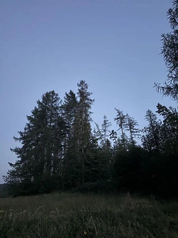 Prodej pozemku 493 m², Proseč - Česká Bříza