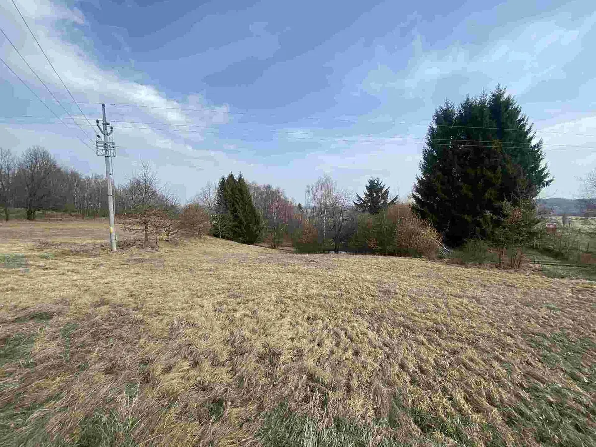 Prodej pozemku 2407 m², Údolí u Nových Hradů · Nové Hrady