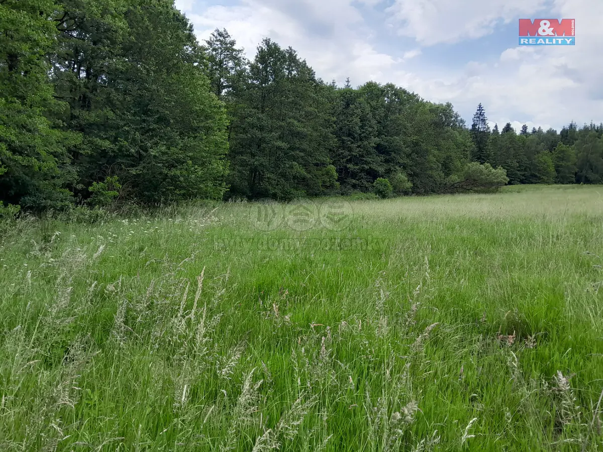 Prodej pozemku 19732 m², Oselce - Kotouň · okres Plzeň-Jih