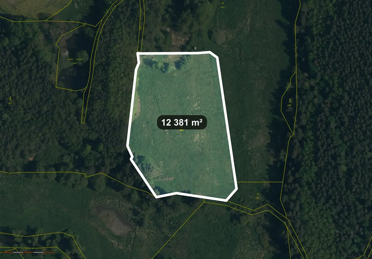 Prodej pozemku 12381 m², Lom u Tachova · okres Tachov