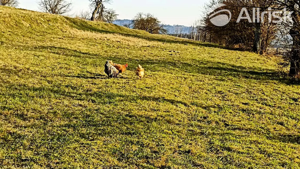Prodej pozemku 837 m², Lačnov · okres Vsetín