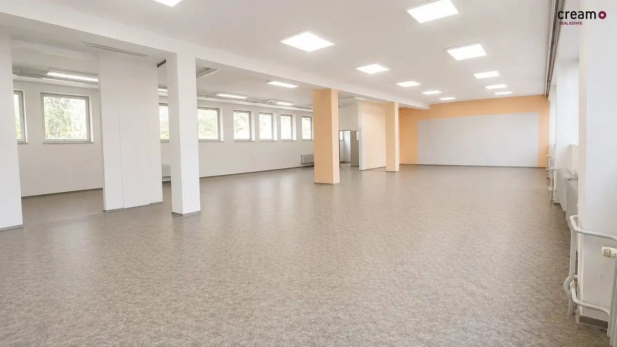 Pronájem komerčního prostoru 203 m², Wanklovo nám. · Blansko