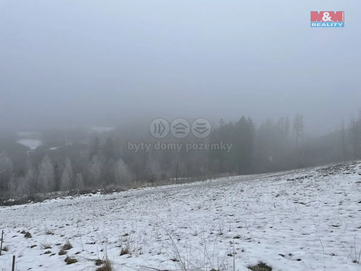 Prodej pozemku 8638 m², Železný Brod · okres Jablonec nad Nisou