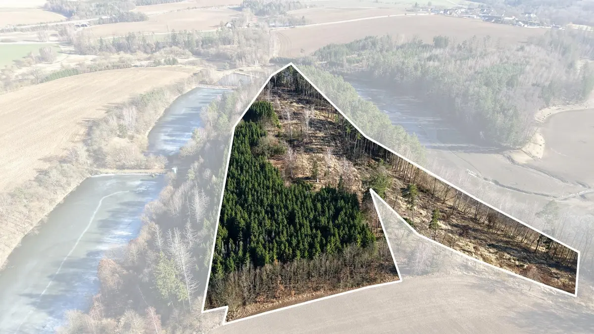 Prodej pozemku 35440 m², Liderovice · Chotoviny