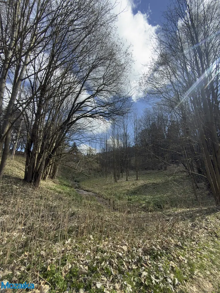 Prodej pozemku 974 m², Výprachtice · okres Ústí nad Orlicí