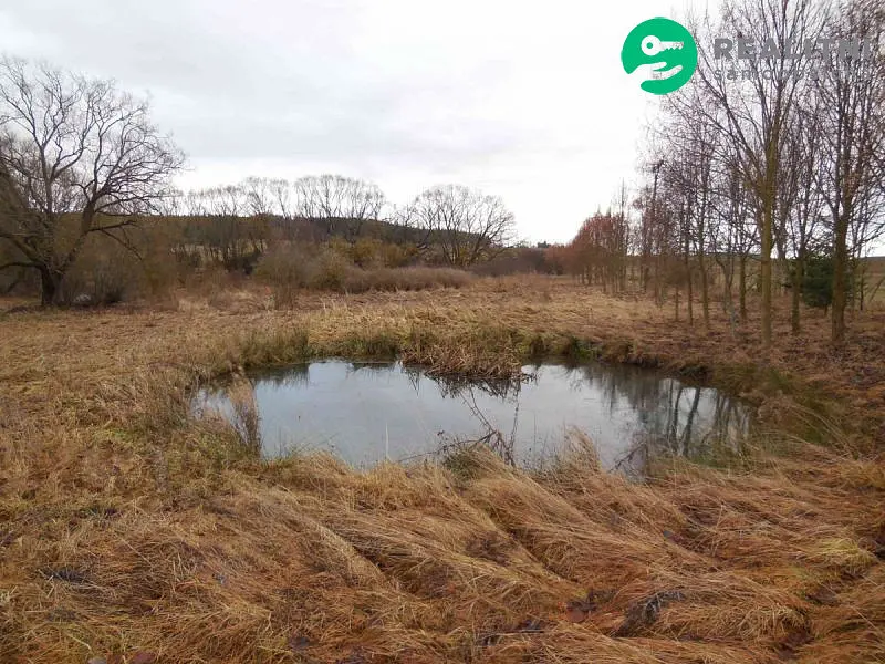 Prodej pozemku 6745 m², Cebiv · okres Tachov