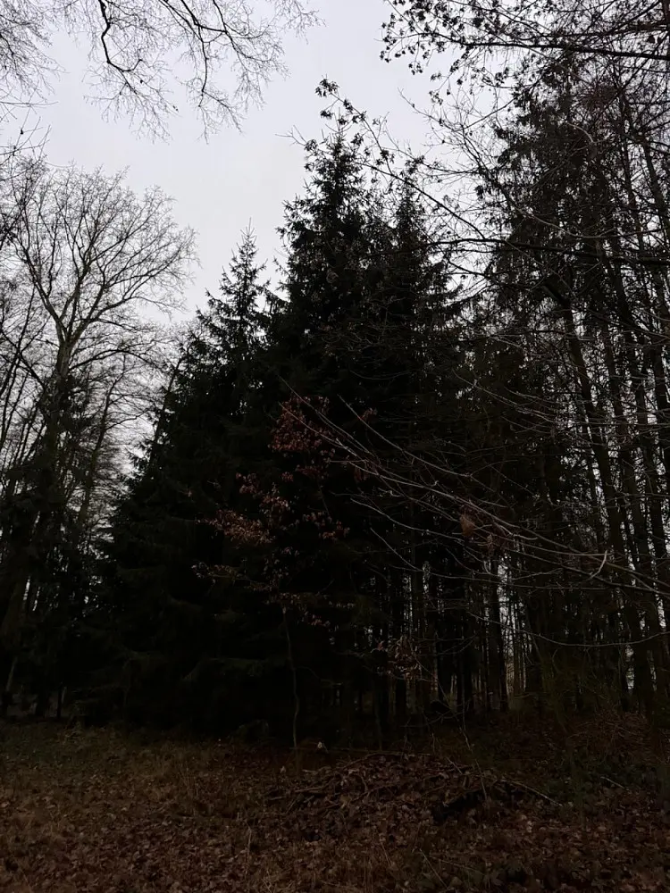 Prodej pozemku 263 m², Předslav - Rumburk 1
