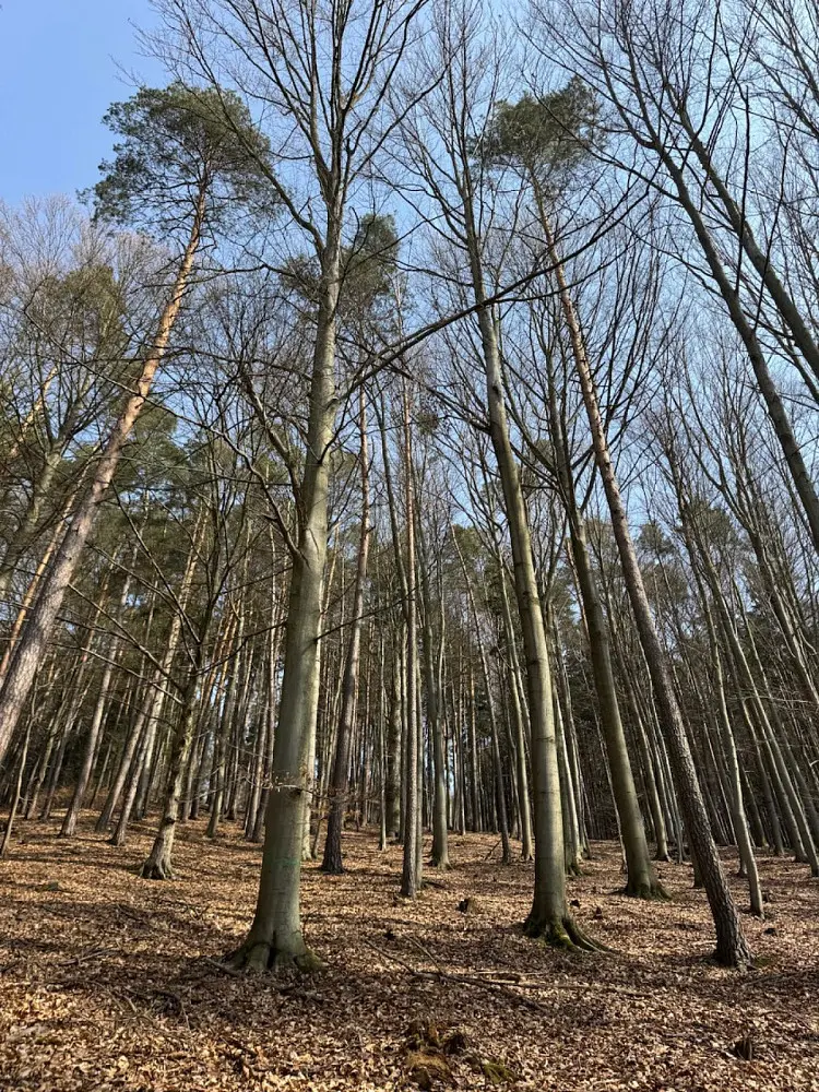 Prodej pozemku 947 m², Bohutín - Bučovice