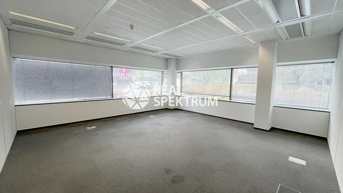 Pronájem komerčního prostoru 240 m², Štýřice · Brno