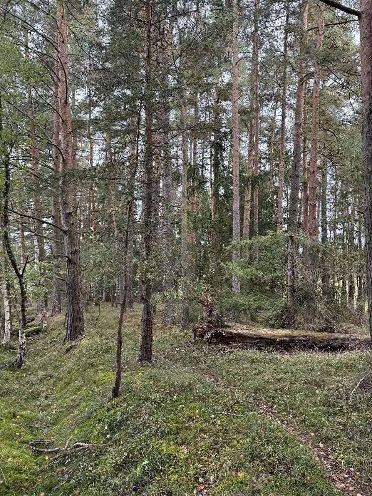 Prodej pozemku 153 m², Čížkrajice - Nemojany