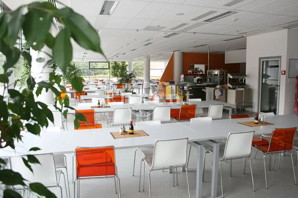Pronájem komerčního prostoru 150 m², Tuniská · Vokovice