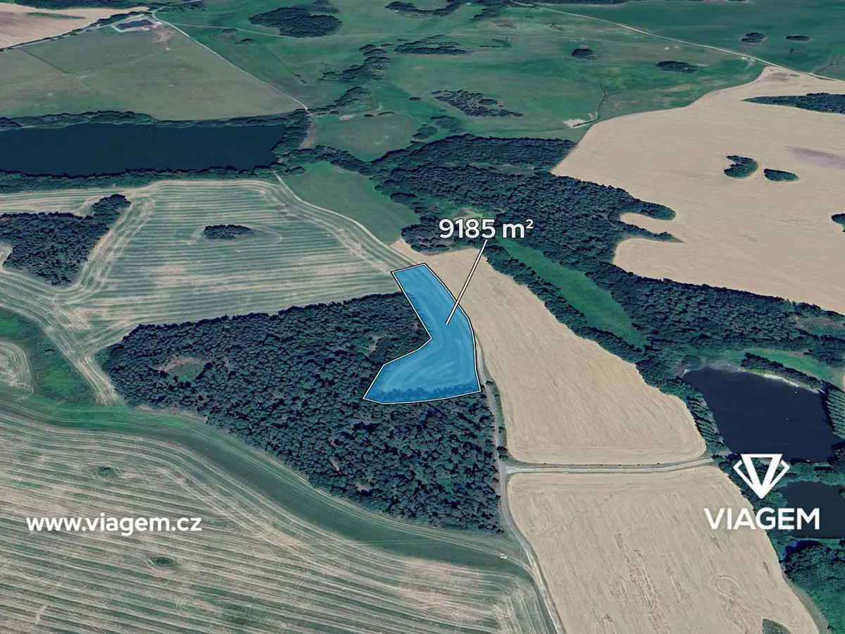 Prodej pozemku 7143 m², Chanovice · okres Klatovy