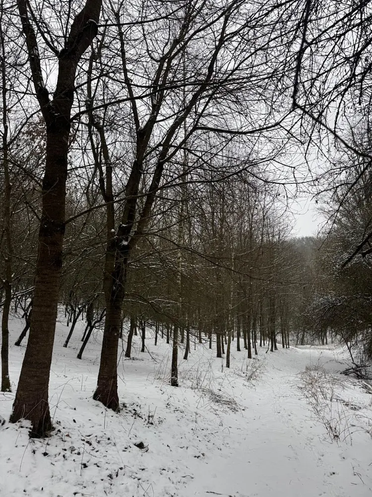 Prodej pozemku 26763 m², Chotiměř - Buč