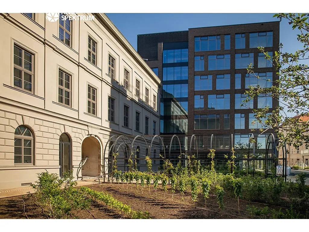 Pronájem komerčního prostoru 472 m², Přízova · Trnitá · Brno