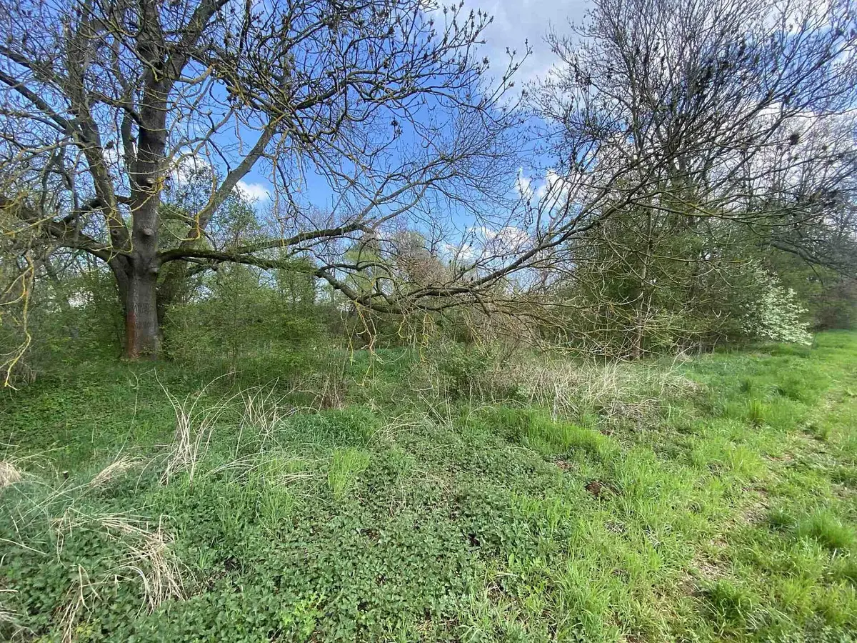 Prodej pozemku 621 m², Černčice · okres Louny
