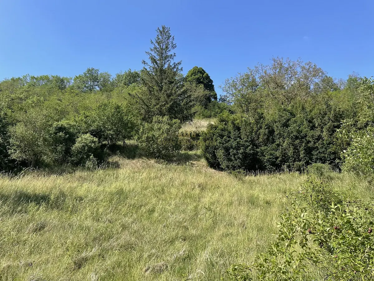 Prodej pozemku 2559 m², Nová Ves · okres Mělník