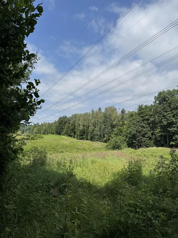 Prodej pozemku 12501 m², Hodějice · okres Vyškov