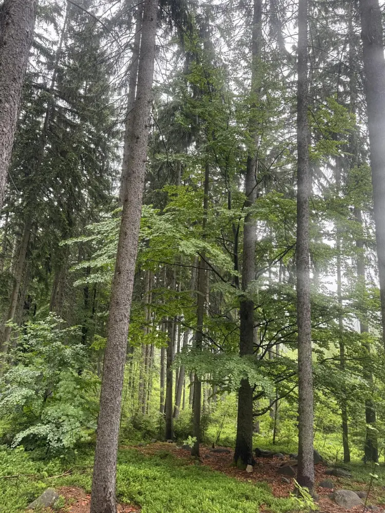 Prodej pozemku 1819 m², Tanvald - Vlkošov
