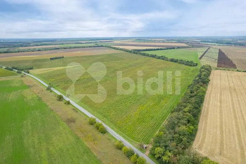 Prodej pozemku 232138 m², Pohořelice - Nová Ves · okres Brno-venkov