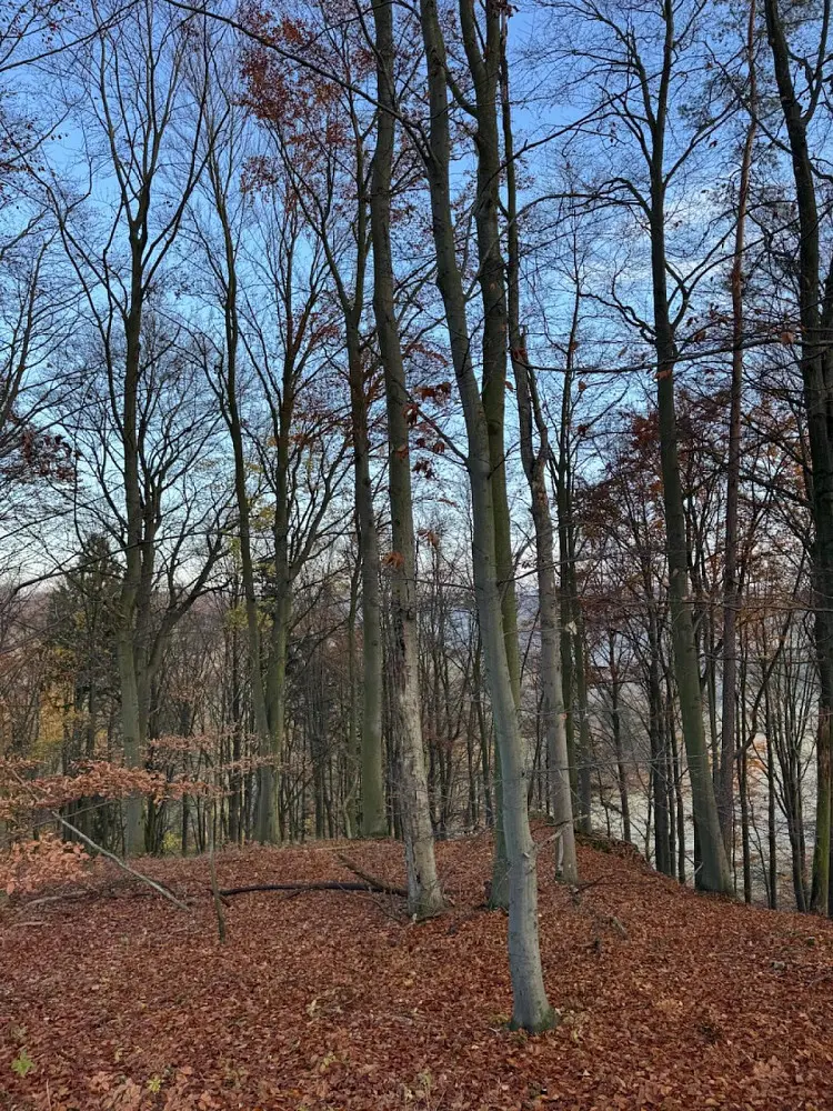 Prodej pozemku 585 m², Dzbel - Horní Bělá