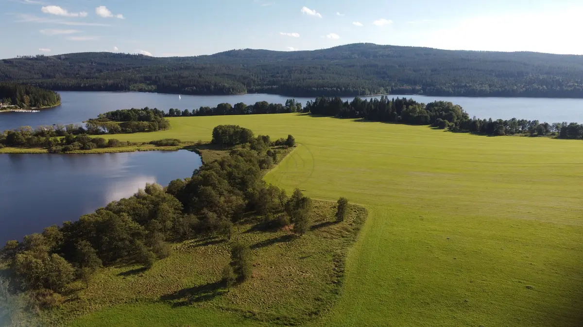 Prodej pozemku 17984 m², Frymburk