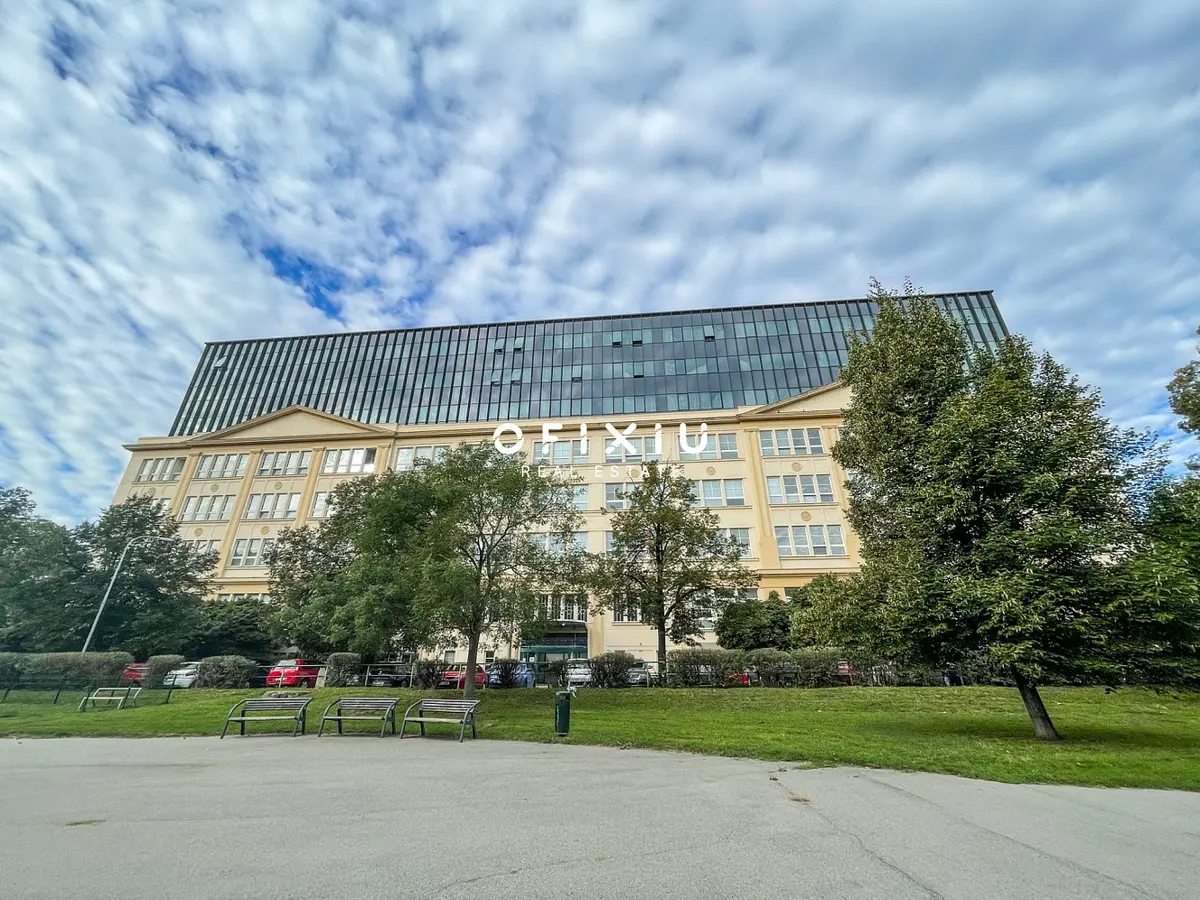 Pronájem komerčního prostoru 500 m², Šumavská · Ponava · Brno