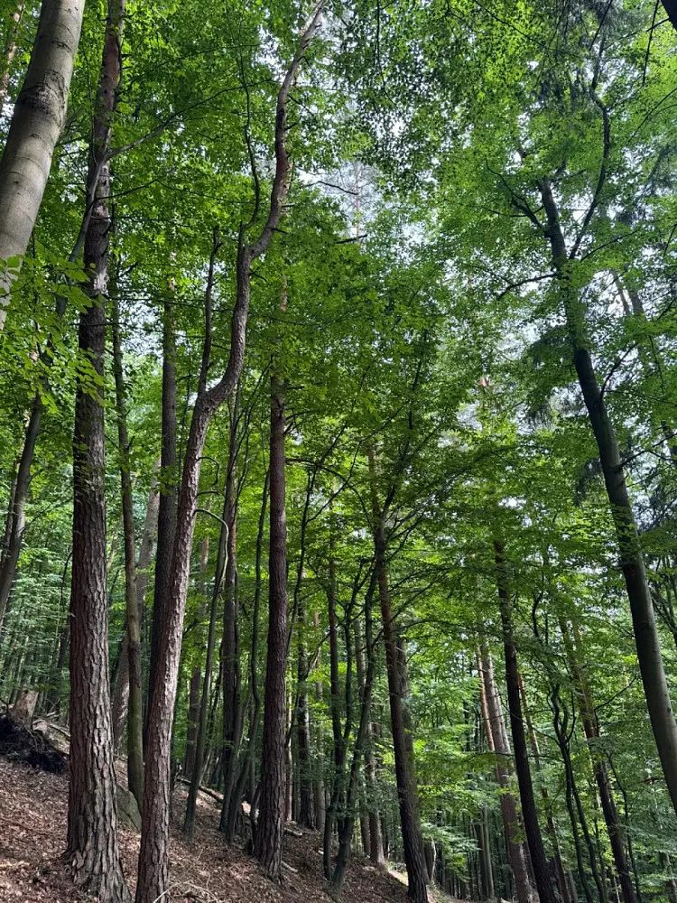 Prodej pozemku 672 m², Bohutín - Bučovice