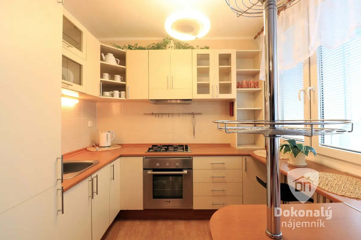 Pronájem bytu 1+kk 43 m², Arbesova · Slaný