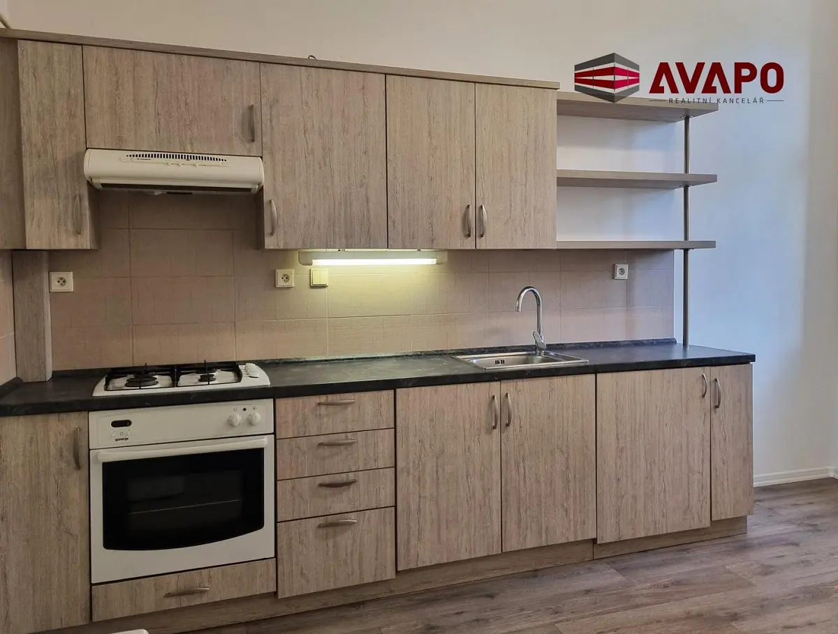Pronájem bytu 1+1 43 m², Opava-Předměstí · Opava