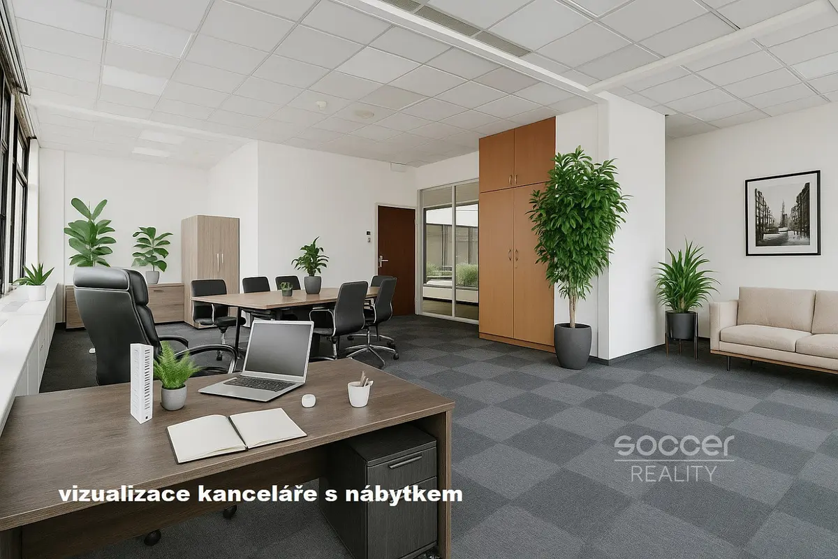 Pronájem komerčního prostoru 66 m², Karlín