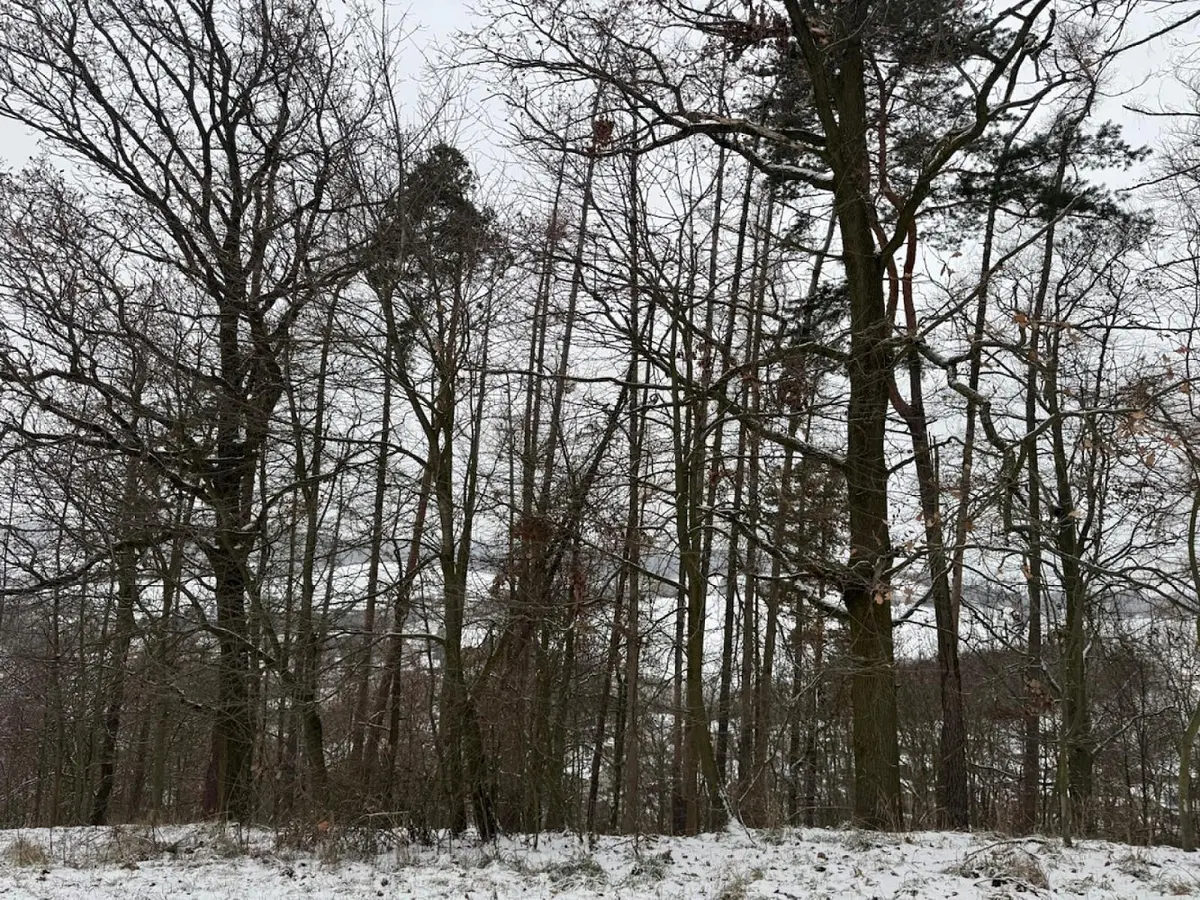 Prodej pozemku 749 m², Hrabišín - Drnovice