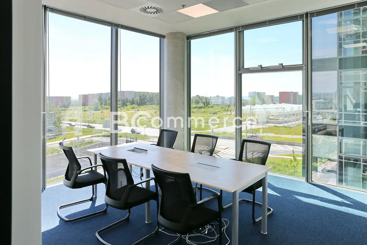 Pronájem komerčního prostoru 349 m², Brno - Starý Lískovec