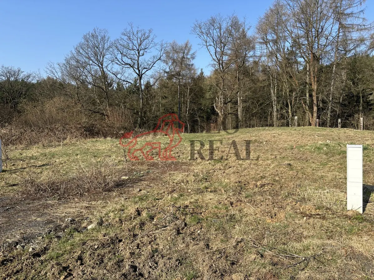 Prodej pozemku 1100 m², Ludvíkovice · okres Děčín