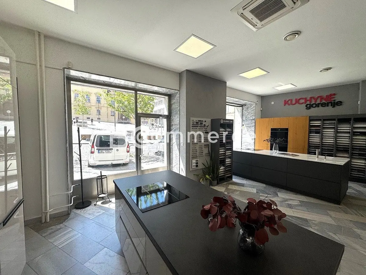 Pronájem komerčního prostoru 109 m², Brno - Brno-město
