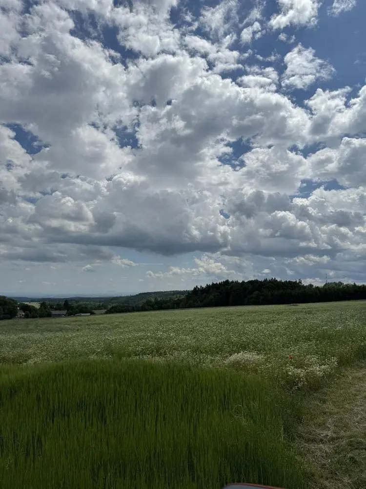 Prodej pozemku 864 m², Lipová - Benešov nad Ploučnicí