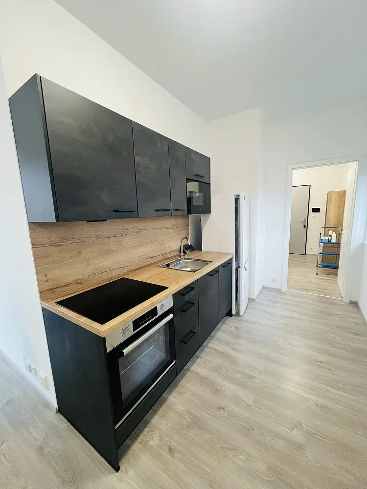 Pronájem bytu 1+kk 60 m², Zámecká · Lovosice