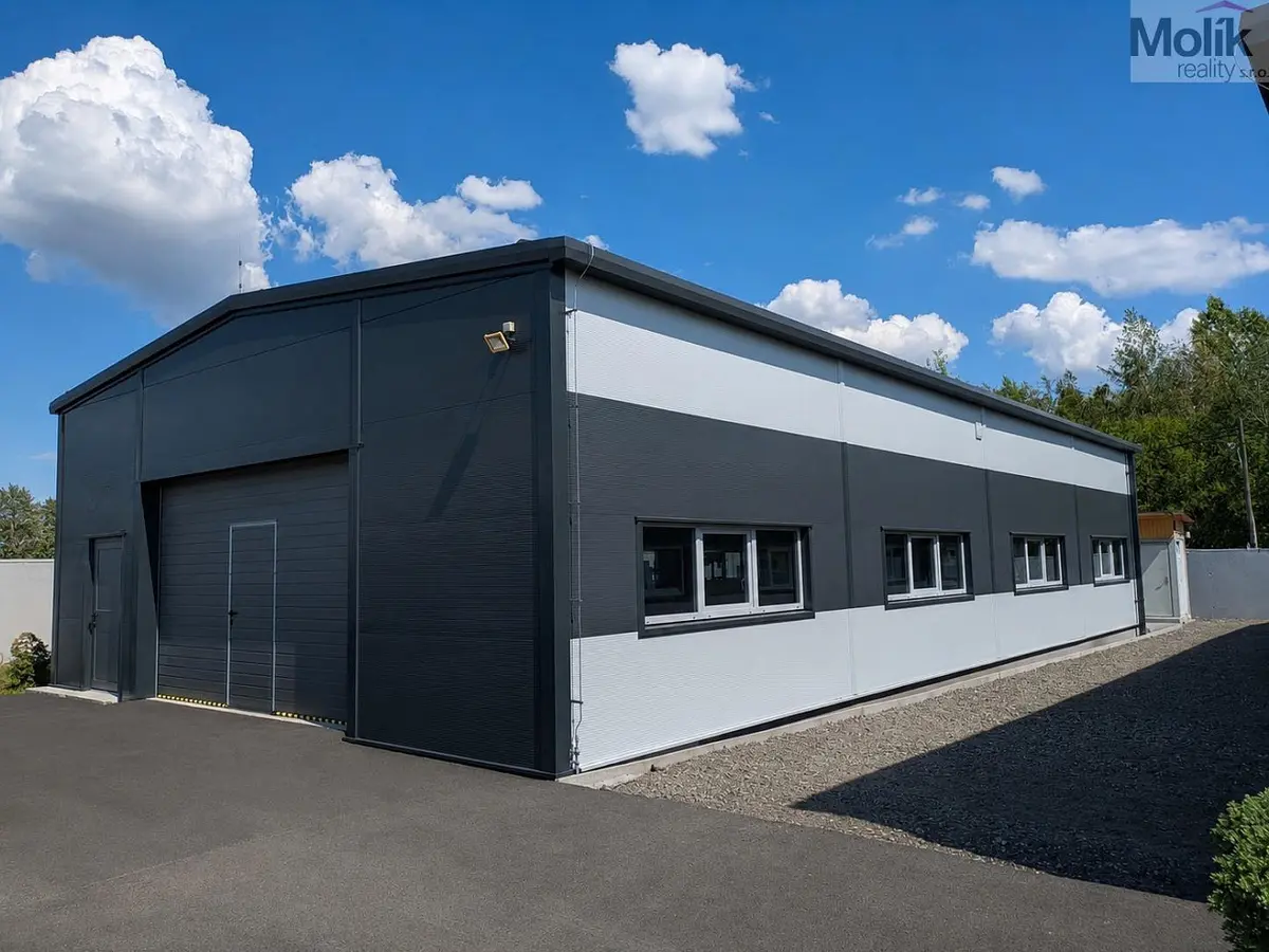 Pronájem komerčního prostoru 200 m², Mlýny · Hrob