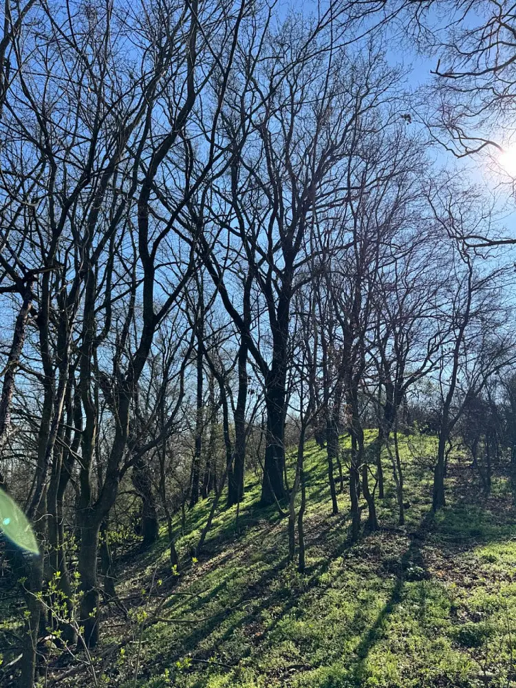 Prodej pozemku 710 m², Černín - Horní Bříza
