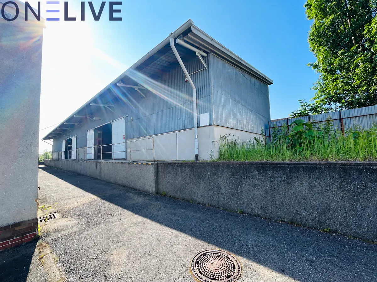 Pronájem komerčního prostoru 382 m², Plzeň