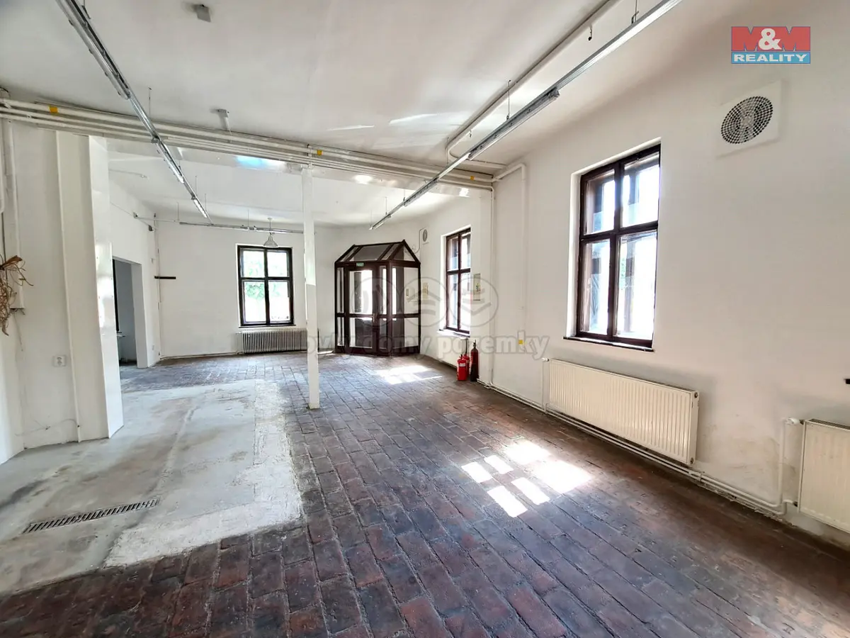 Pronájem komerčního prostoru 221 m², Riegrova · Královo Pole · Brno